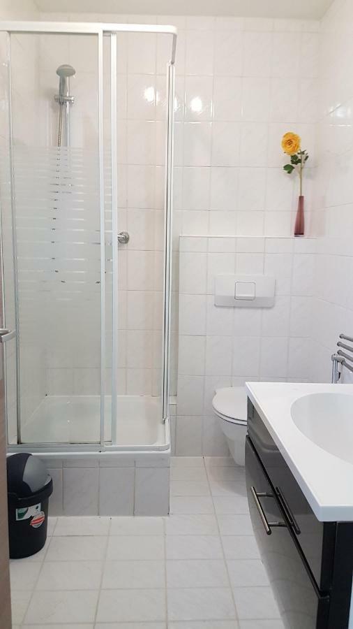 Flats-4U - Cosy, Quite & Clean Apartments In The City 波恩 外观 照片