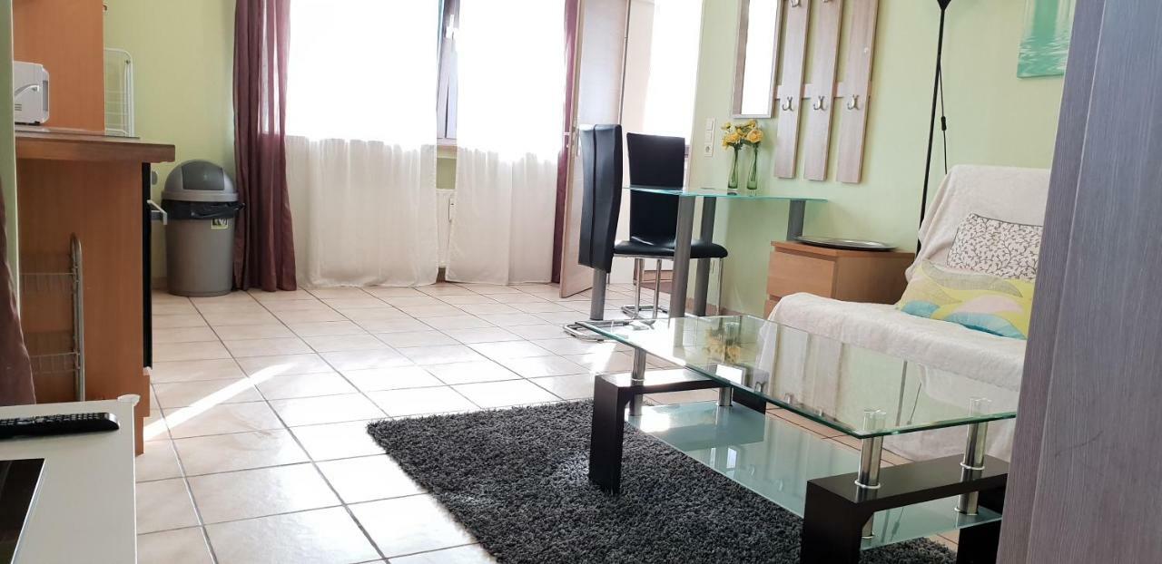Flats-4U - Cosy, Quite & Clean Apartments In The City 波恩 外观 照片